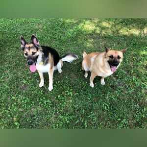 Meet your Posher, Julia